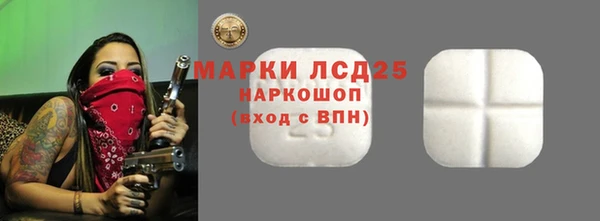 дживик Майский