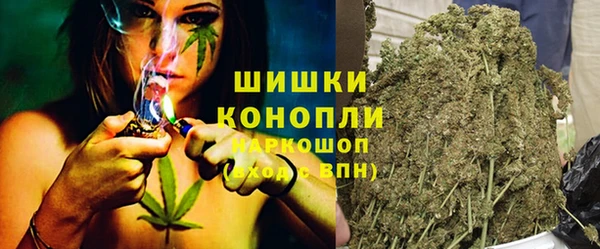 дживик Майский