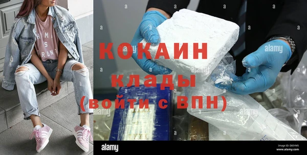 дживик Майский